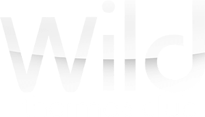 logo-wild-branco image logo-wild-branco Clube dos Pauzudos - Sexo Grupal Gay em São Paulo