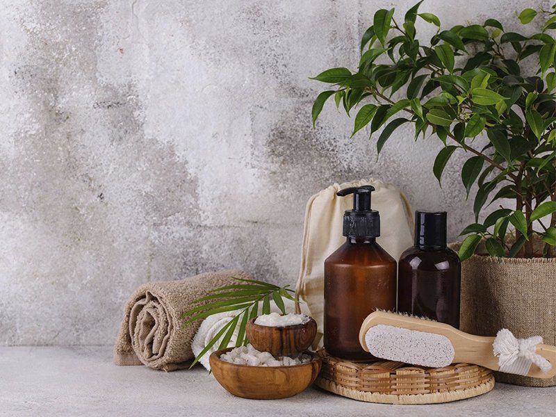 ?p=image&amp;src=%7B%22file%22%3A%22images%2Fv2%2Fservicos%2Festetica-1 Home - Wild